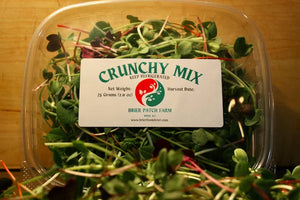 Brier Patch Crunchy Mix Microgreens Clamshell