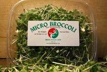 Brier Patch Broccoli Microgreens Clamshell