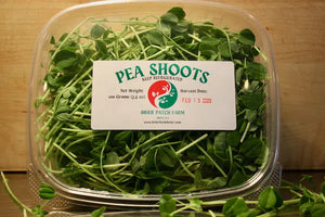 Brier Patch Pea Microgreens Clamshell
