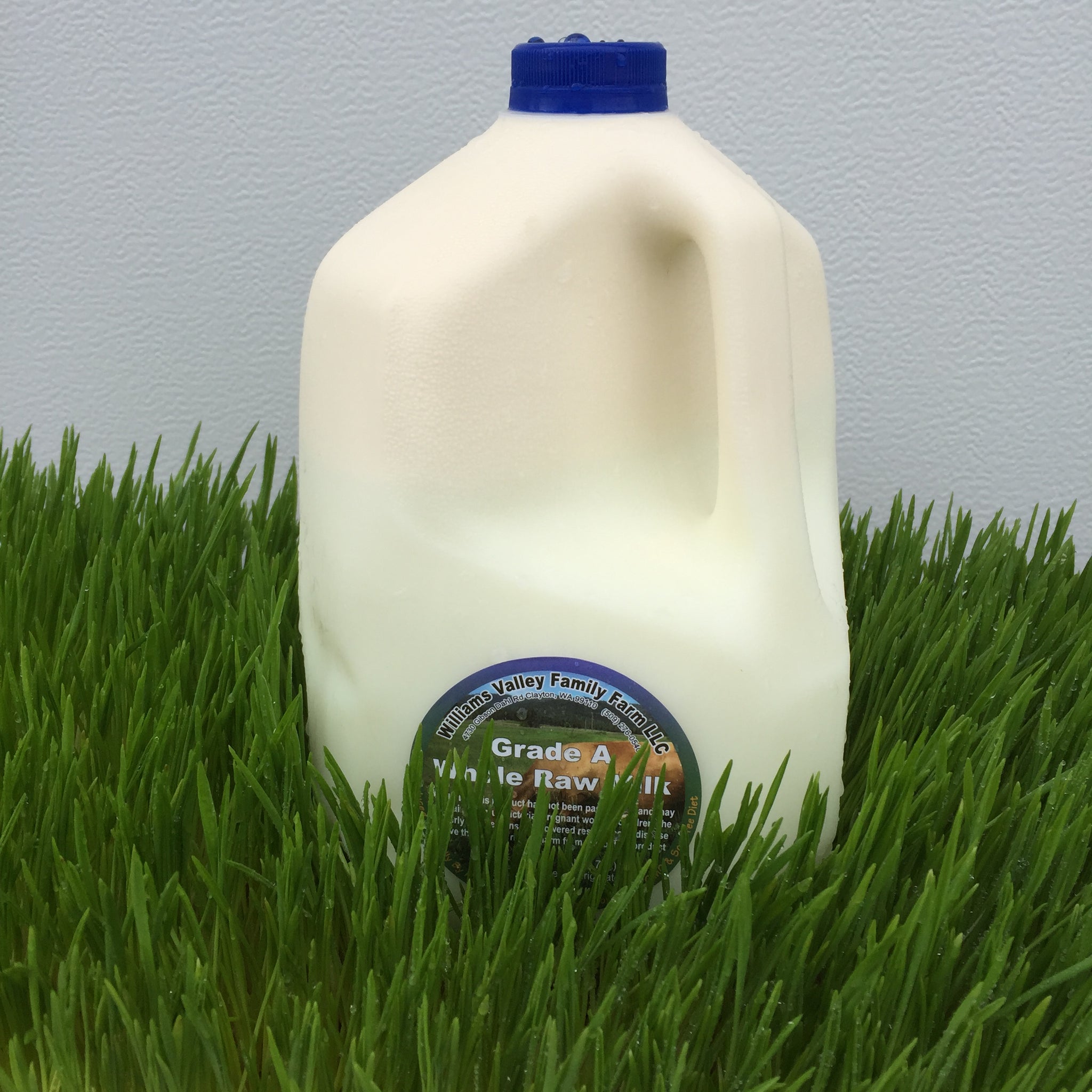 1/2 Gallon Raw Grass Fed A2 Milk in Glass - Miller's Bio Farm